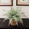 20" Frost River Fern Bush – Dusty Silk Faux Plant for Indoor & Outdoor Home & Office Decor